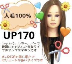 流行り の ブランド  UP170 美品のため少しお高めです 茶髪 人毛100% アップウィッグ ウィッグ・エクステ