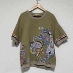 ETRO エトロ　ニット　半袖　カットソー　花柄　ボタニカル柄　レーヨン　42 ETRO (エトロ) ワンポイント 柄ライン 半袖 ポロシャツ