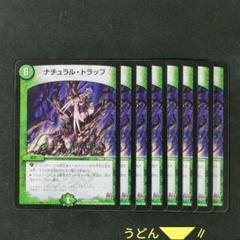 ナチュラルトラップ 新枠 8枚のサムネイル