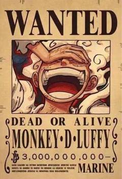 ONEPIECE ワンピース 手配書 ポスター　10枚セット　ルフィ　ゾロ Amazon.co.jp: ワンピース手配書ポスタールフィゾロ : おもちゃ