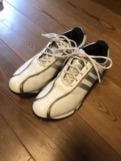 アディダス adidas ゴルフシューズ 25.5センチ 箱あり