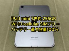 iPad mini 7世代 256GB cellular 国内版SIMフリー