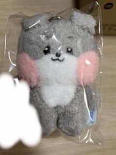 今週限定価格zerobaseone ゴニニ　ごぬく　ぬいぐるみ ZEROBASEONE zeroni gunini ゴニニ ゴヌク ぬいぐるみ ZB1