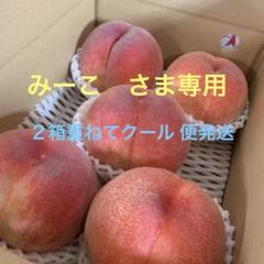 山梨一宮の甘い桃 木のてっぺんから収穫 5個詰めて発送 お買い得