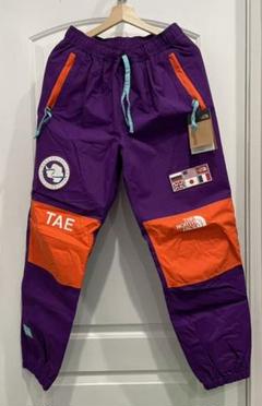 パンツ The North Face Trans Antarctica pants THE NORTH FACE / Trans-Antarctica Expedition Pant | HOLICK