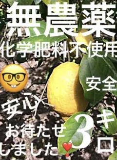37%割引【2021正規激安】 ゆず様確認③専用で3600 ファッション雑貨 大放出セール ゆずた様専用! 確認画像 知育玩具