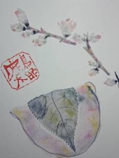 片岡 鶴太郎、【三つのさくらんぼ】、希少画集画、状態良好