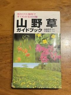 【中古】 山野草のつくり方/Ｇａｋｋｅｎ/田代道弥 中古】 山野草のつくり方/Gakken/田代道弥