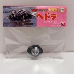新品○公害怪獣ヘドラ かえせ！太陽を BOX イワクラ特撮大百科