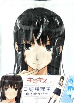 二見瑛理子 抱き枕カバー 150cm x 50cm 市販品 未使用