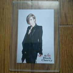 Amazon | Acid Black Cherry ポストカード 5枚組 | ポストカード