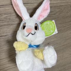 くまどん うさぎどん ぬいぐるみストラップ ウサギどん・キツネどん・クマどんのストラップ（スプラッシュ