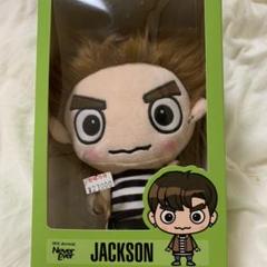 GOT7 ドール 2025年最新】got7 jb ドールの人気アイテム - メルカリ