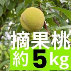 晩星 桃　摘果桃　10kg 硬い　カリカリ 本日 発送 摘果桃 若桃 早摘み 硬い カリカリ 加工用 約5kg