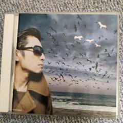 ロデオ・タンデム・ビート・スペクター　レコード Rodeo Tandem Beat Specter (2枚組/180グラム重量盤レコード