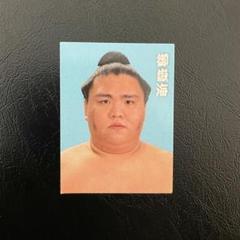 2025年最新】大相撲 証明写真の人気アイテム - メルカリ