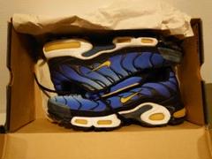 AIR MAX PLUS 加水分解済