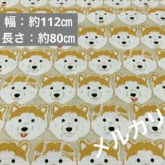 柴犬 ドッグ いぬ柄 犬柄 プリント 生地 布