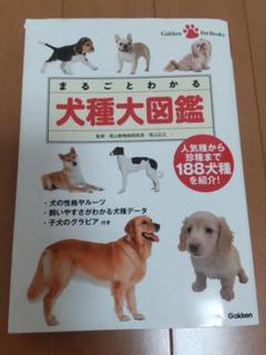 2025年最新】犬種大図鑑の人気アイテム - メルカリ