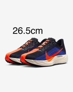 ナイキ NIKE Pegasus Plus ペガサスプラス 26.5cm 美品