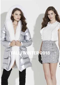 flavio castellani シルバーロングダウンコート flavio castellani シルバーロングダウンコート