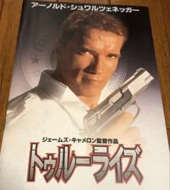 トゥルーライズ（True Lies）【・通常版・MD日本版】