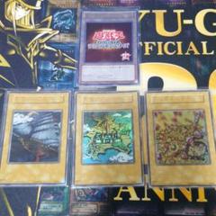 遊戯王OCG 決闘王の記憶 3種類セット Amazon.co.jp: 遊戯王OCG デュエルモンスターズ決闘王の記憶