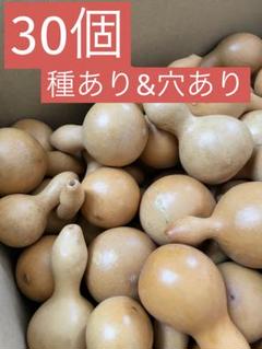 【40個】ひょうたん　瓢箪　千成瓢箪　まとめ売り　無病息災　置物　縁起物 40個】ひょうたん 瓢箪 千成瓢箪 まとめ売り 無病息災 置物 縁起物