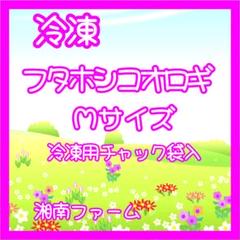冷凍コオロギ Mサイズ 500g 爬虫類 両生類 小動物 アロワナ フトアゴ等