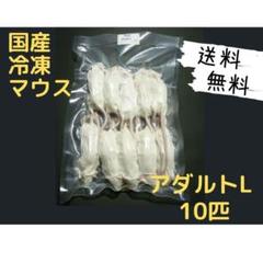 国産 冷凍マウスアダルト L 10匹 (送料無料一部地域発送不可