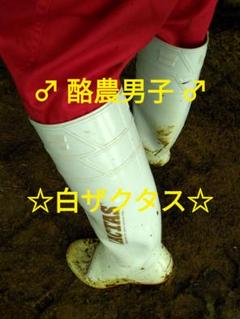 ☆酪農男子☆ 弘進ゴム ザクタス Z-100 ホワイト 27cm