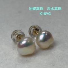 美品・新品　池蝶真珠　淡水真珠　K18YG バロック　超テリ照り　本真珠　ピアス 美品・新品 池蝶真珠 淡水真珠 K18YG バロック 超テリ照り 本