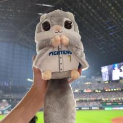 日本ハムファイターズ モモンガぬいぐるみくじ 松本剛 ももんが ４等 エスコン
