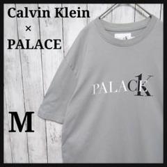 【入手困難】カルバンクライン × パレス コラボ ビックロゴ　Tシャツ　グレー