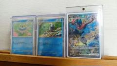 海外版プロモゲッコウガ進化ライン 海外版プロモゲッコウガ進化ライン