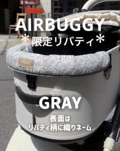 大人気】エアバギー純正 コーナークッション限定品リバティ
