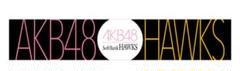 25鷹祭SB タオルマフラー AKB48