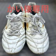 モナルシーダ25.5cm①
