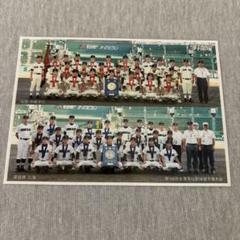 甲子園 第98回全国高等学校野球選手権大会 作新学院 優勝 記念 皿 プレート 第98回全国高等学校野球大会優勝 - 作新MAP