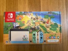 Nintendo Switch どうぶつの森デザイン 本体