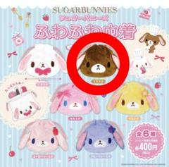 シュガーバニーズ くろうさ パーカー パシオス　Mサイズ Amazon.co.jp: キャラクターズ シュガーバニーズ ジップアップ