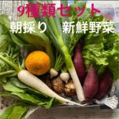 野菜セット お野菜詰め合わせ 9種セット