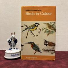 711C⑤ビンテージ鳥図鑑　洋書古書　ボタンニカルアート