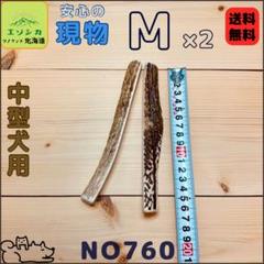 kook⭐︎現物⭐︎鹿の角⭐︎M大×6本セット⭐︎472 467 475 ⭐︎現物⭐︎鹿の角⭐︎M×2本セット⭐︎犬のおもちゃ⭐︎760