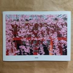 京の彩り・桜