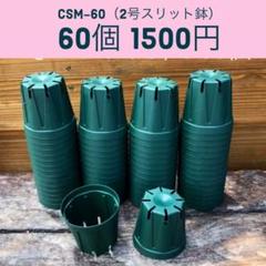 CSM-60 2号スリット鉢 60個★送料込
