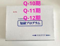 キッズアカデミー チャイルドアイズ 知研プログラム Q-10,11,12