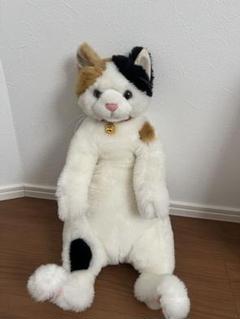 2025年最新】猫ぬいぐるみ カドリーの人気アイテム - メルカリ