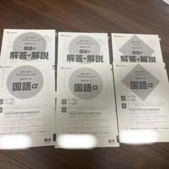 最新版 2024年度 高1 進研模試 11月 1月 フルセット 新品 未使用 進研模試高一11月2024 記述式 - メルカリ