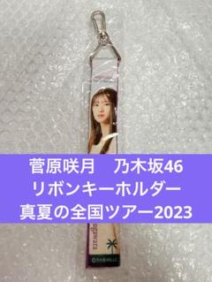 乃木坂46 真夏の全国ツアー2023 菅原咲月全身アクリルキーホルダー30個 Amazon.co.jp: [乃木坂46] 個別全身アクリルキーホルダー/真夏の